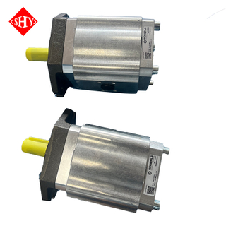 ECKERLE Series Gear Pump EIPH EIPC2 EIPC3 EIPC5 EIPC6 High Pressure Internal Gear Pump
