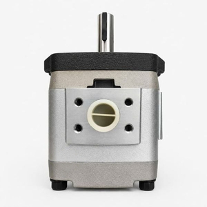 IGH-2E-8-R High Pressure Internal Gear Pump 8 cc/rev Low Noise Stable Flow Industrial Hydraulic Internal Gear Pump