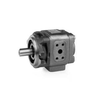 HG0 Series Heavy Duty Internal Gear Pump HG0-25-01R-VPC High Pressure Hydraulic Pump Low Noise Fixed Displacement Gear Pump