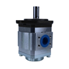 PGE100 Series PGE100-25 PGE100-100 External Gear Pump Compact Design Stable Flow Low Displacement Hydraulic Gear Pump